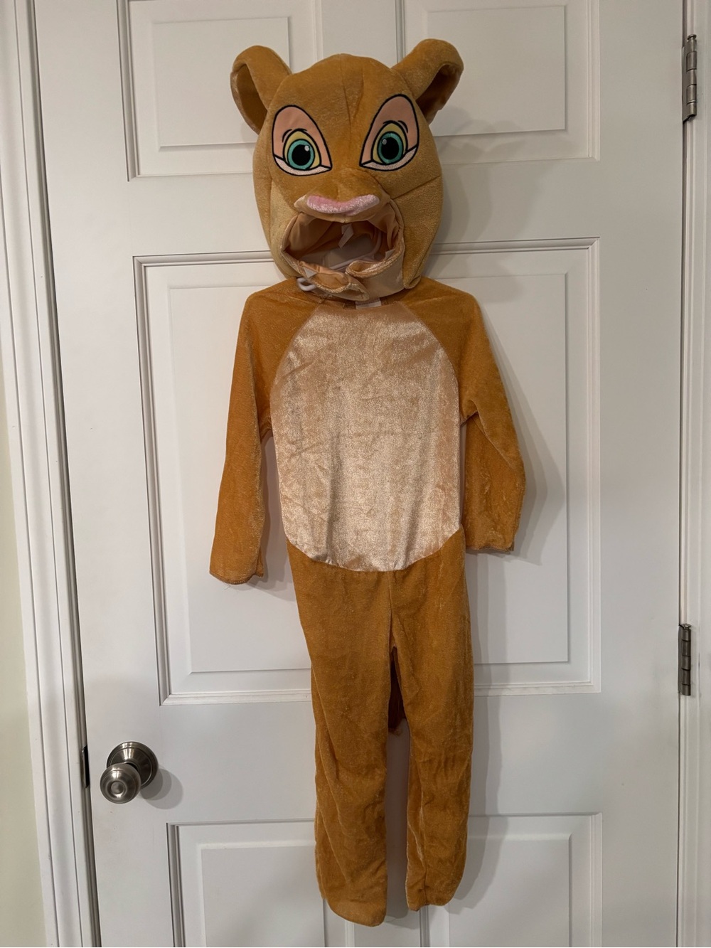 Nala Halloween Costume - Disney The Lion King